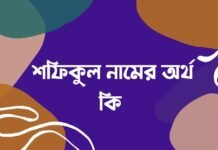 শফিকুল নামের অর্থ কি - এটি কি ইসলামিক নাম