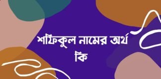শফিকুল নামের অর্থ কি - এটি কি ইসলামিক নাম