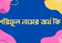 শরিফুল নামের অর্থ কি – এটি কি ইসলামিক নাম? শরিফুল নামের অর্থ কি - এটি কি ইসলামিক নাম