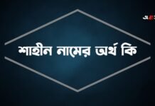 শাহীন নামের অর্থ কি - ইসলামিক ও আরবি অর্থ সহ