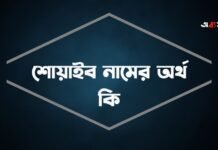 শোয়াইব নামের অর্থ কি - এটি কি ইসলামিক নাম