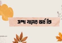 সম্পা নামের অর্থ কি (ইসলামিক ও আরবি অর্থ চমকে দিবে) সম্পা নামের অর্থ কি (ইসলামিক ও আরবি অর্থ চমকে দিবে)