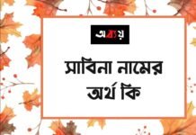 সাবিনা নামের অর্থ কি (ইসলামিক ও আরবি অর্থ চমকে দিবে) সাবিনা নামের অর্থ কি (ইসলামিক ও আরবি অর্থ চমকে দিবে)