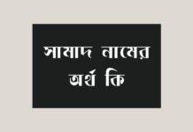 সামাদ নামের অর্থ কি – এটি কি ইসলামিক নাম? সামাদ নামের অর্থ কি - এটি কি ইসলামিক নাম