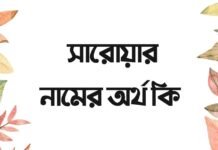 সারোয়ার নামের অর্থ কি – এটি কি ইসলামিক নাম? সারোয়ার নামের অর্থ কি - এটি কি ইসলামিক নাম