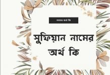 সুফিয়ান নামের অর্থ কি - এটি কি ইসলামিক নাম