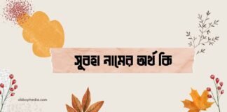 সুবহা নামের অর্থ কি (ইসলামিক ও আরবি অর্থ চমকে দিবে)
