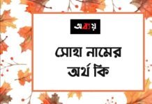সোহা নামের অর্থ কি (ইসলামিক ও আরবি অর্থ চমকে দিবে) সোহা নামের অর্থ কি (ইসলামিক ও আরবি অর্থ চমকে দিবে)