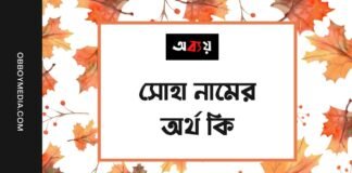 সোহা নামের অর্থ কি (ইসলামিক ও আরবি অর্থ চমকে দিবে)