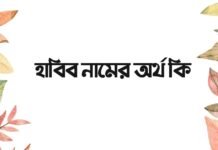 হাবিব নামের অর্থ কি - ইসলামিক অর্থ জানুন