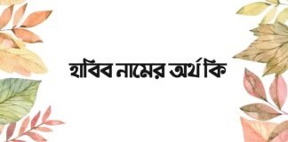 হাবিব নামের অর্থ কি - ইসলামিক অর্থ জানুন