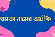 হামজা নামের অর্থ কি – এটি কি ইসলামিক নাম? হামজা নামের অর্থ কি - এটি কি ইসলামিক নাম