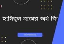হাসিবুল নামের অর্থ কি (বিশেষ করে আরবি ও ইসলামিক অর্থ) হাসিবুল নামের অর্থ কি (বিশেষ করে আরবি ও ইসলামিক অর্থ)