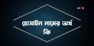 হোসাইন নামের অর্থ কি