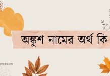 অঙ্কুশ নামের অর্থ কি | কেনো রাখবেন, কেনো রাখবেননা অঙ্কুশ নামের অর্থ কি