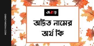 অদ্রিত নামের অর্থ কি