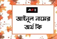 আইনুল নামের অর্থ কি