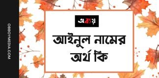 আইনুল নামের অর্থ কি