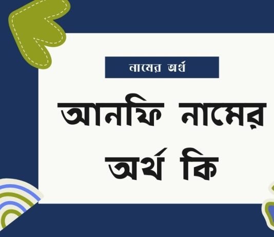 আনফি নামের অর্থ কি