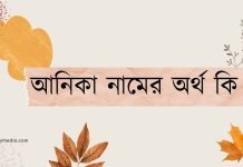 আনিকা নামের অর্থ কি | নামটির সম্পর্কে কিছু কথা জানা জরুরী