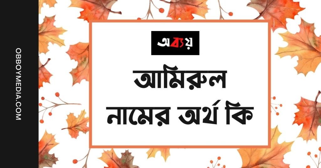 আমিরুল নামের অর্থ কি | কেনো রাখবেন, কেনো রাখবেননা আমিরুল নামের অর্থ কি