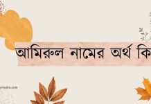 আমিরুল নামের অর্থ কি | কেনো রাখবেন, কেনো রাখবেননা আমিরুল নামের অর্থ কি
