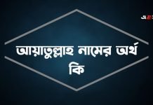 আয়াতুল্লাহ নামের অর্থ কি | নামটির সম্পর্কে যে কথা কেউ বলবেনা আয়াতুল্লাহ নামের অর্থ কি