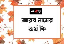 আরব নামের অর্থ কি