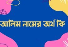 আলিম নামের অর্থ কি