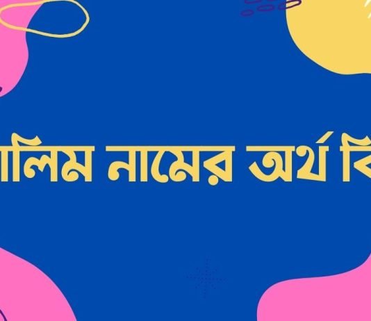 আলিম নামের অর্থ কি – ইসলামিক ও আরবি অর্থ জানুন আলিম নামের অর্থ কি