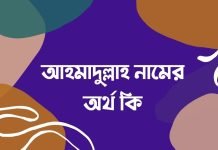 আহমাদুল্লাহ নামের অর্থ কি