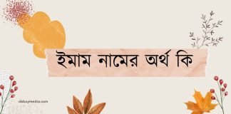 ইমাম নামের অর্থ কি