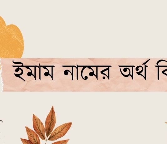 ইমাম নামের অর্থ কি