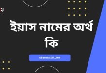 ইয়াস নামের অর্থ কি