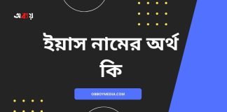 ইয়াস নামের অর্থ কি