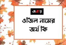 ওজিল নামের অর্থ কি
