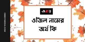ওজিল নামের অর্থ কি