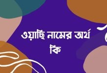 ওয়াছি নামের অর্থ কি