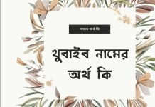 খুবাইব নামের অর্থ কি