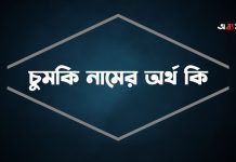 চুমকি নামের অর্থ কি | নামটি সম্পর্কে বিশেষ তথ্যগুলো জেনে নিন