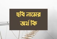ছবি নামের অর্থ কি