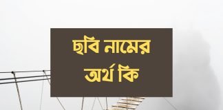 ছবি নামের অর্থ কি