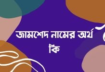 জামশেদ নামের অর্থ কি