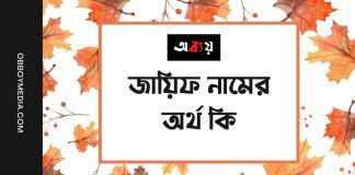 জায়িফ নামের অর্থ কি