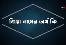 জিয়া নামের অর্থ কি | ইসলামিক ও আরবি ব্যাতিক্রমী অর্থ জিয়া নামের অর্থ কি