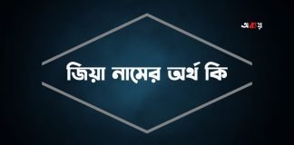 জিয়া নামের অর্থ কি