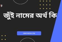 জুঁই নামের অর্থ কি | এটি কি সত্যিই ইসলামি নাম? জুঁই নামের অর্থ কি