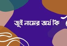 জুই নামের অর্থ কি | নামটি সম্পর্কে বিশেষ তথ্যটি জেনে নিন