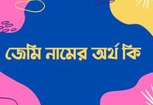 জেমি নামের অর্থ কি | নামটি সম্পর্কে বিশেষ তথ্যটি জেনে নিন