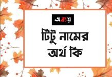 টিটু নামের অর্থ কি | কেনো রাখবেন, কেনো রাখবেননা টিটু নামের অর্থ কি